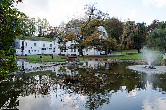 Parc Body 6