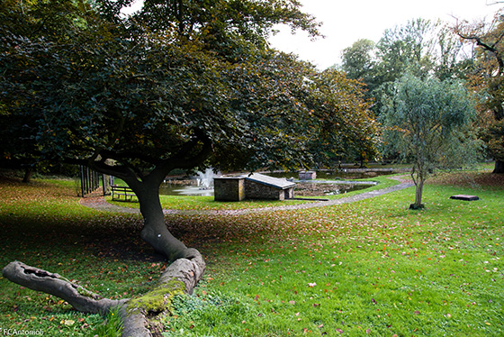 Parc Body 7