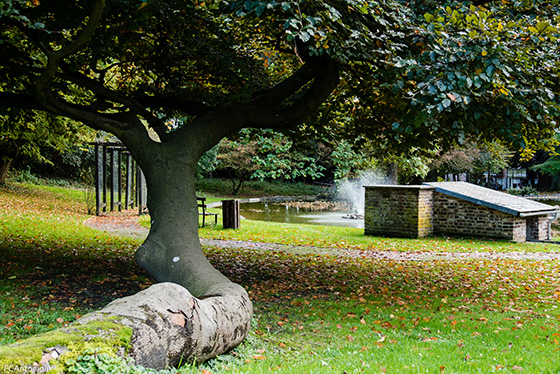 Parc Body 8