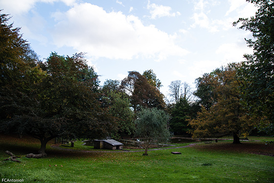 Parc Body 9