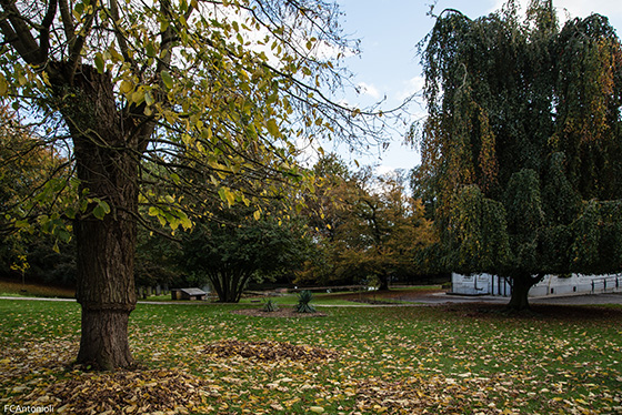 Parc Body 10