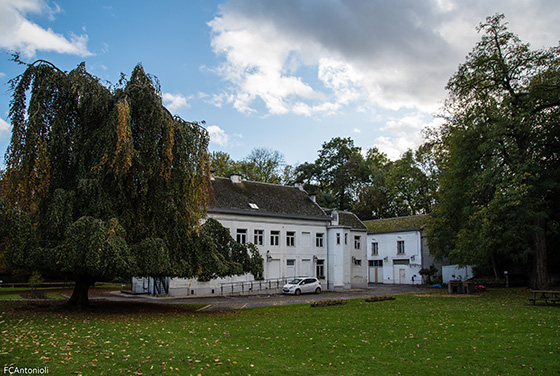 Parc Body 13
