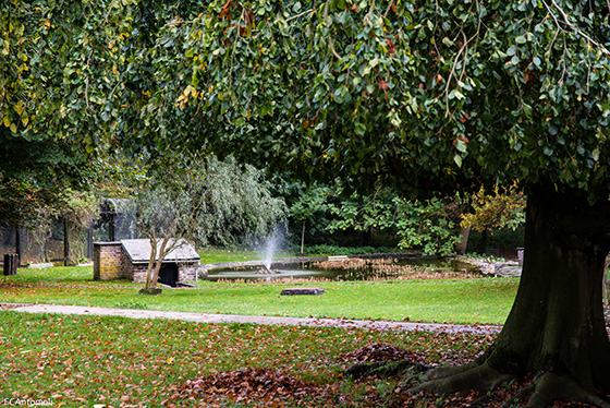 Parc Body 14