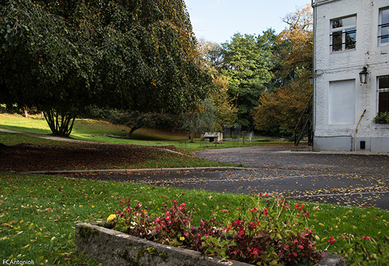 Parc Body 15