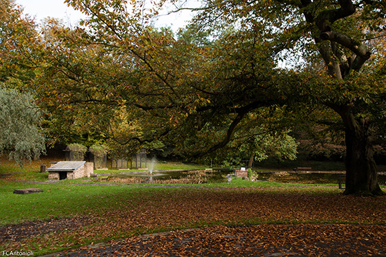 Parc Body 16